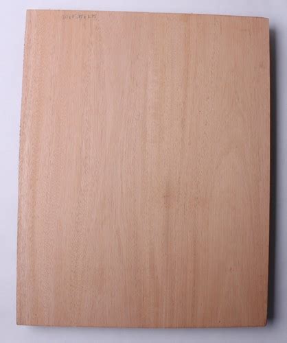 mahogany guitar body blank|Mahogany Electric Guitar Body Blank .